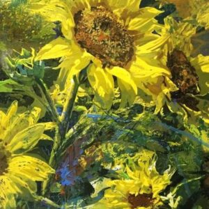 Sunflower 1