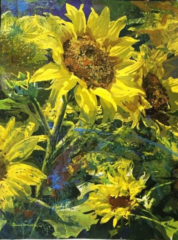 Sunflower 1