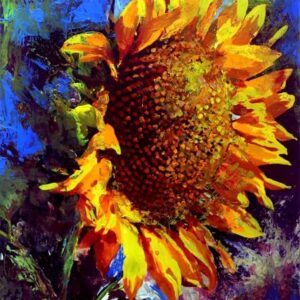 Sunflower 5