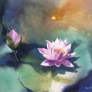 Waterlily